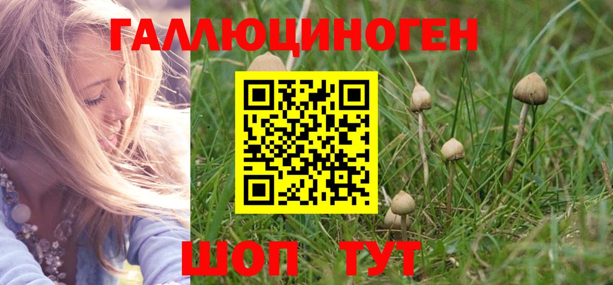 Урус-Мартан  Псилоцибиновые грибы прущие грибы  Вход с VPN 