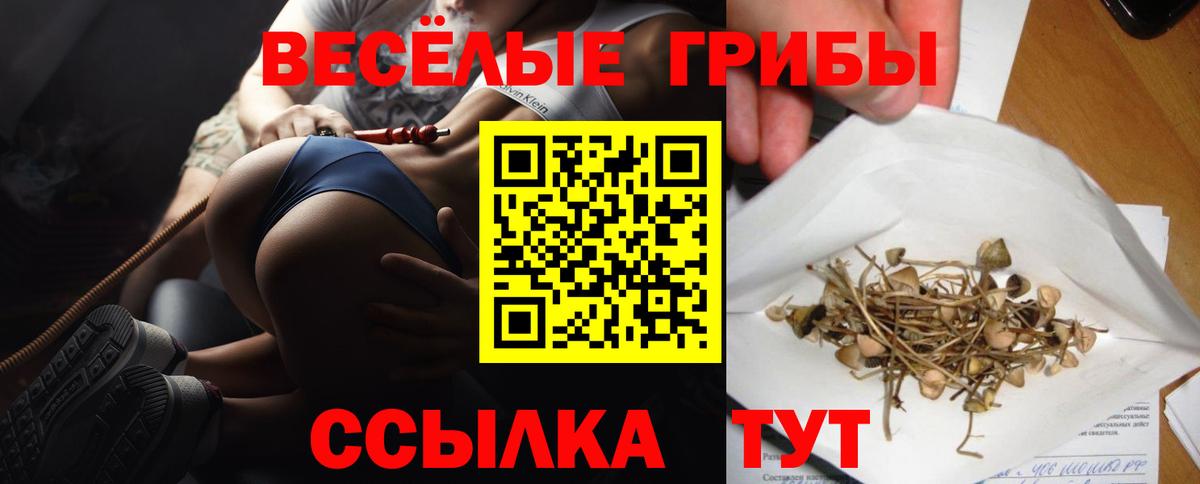 Галлюциногенные грибы прущие грибы Урус-Мартан